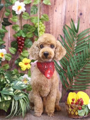 20230815ノンくん